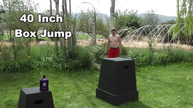 40inch Box Jump Tim Mc Gaffin Gif 40inchboxjump Timmcgaffin Timothymcgaffinii Descubre Comparte Gifs