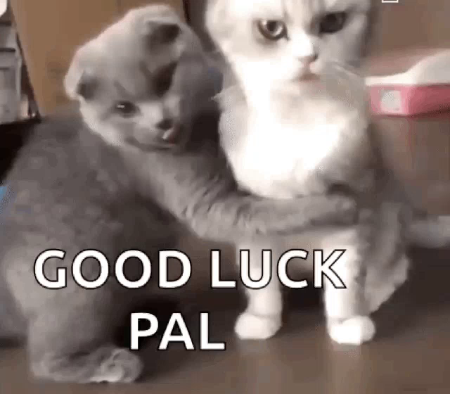 good luck kitten