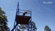 Zip fail