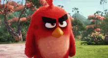 Angry Angry Birds GIF - Angry AngryBirds Bird GIFs
