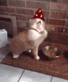 Magic Cat GIF - Wizard MagicCat Spell GIFs