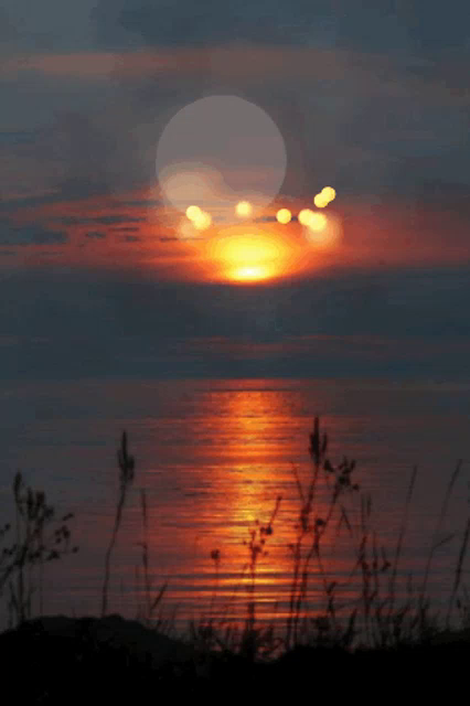 Soleil Coucher Gif Soleil Coucher Paysage Discover Share Gifs