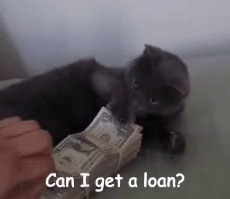 Loan po pls