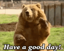Have A Good Day GIF - Bear HaveAGoodDay HaveAGreatDayAhead GIFs