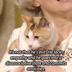 Cat Evil Gif Cat Evil Lacks Empathy Discover Share Gifs