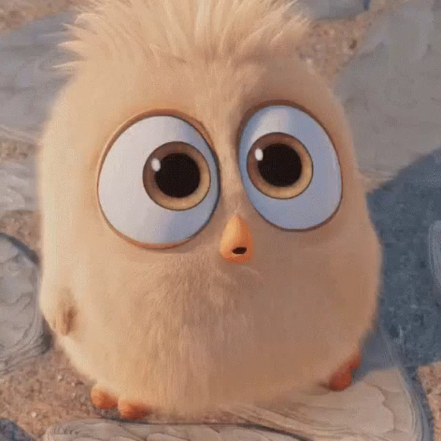 Featured image of post The Best 28 Angry Bird Pfp