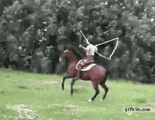Horse Jumprope GIF - Horse Jumprope GIFs