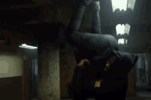 tenor.gif