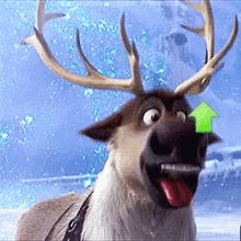 reindeer in elsa
