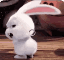 Bunny Hop GIFs | Tenor