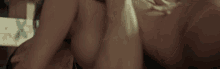 tenor.gif