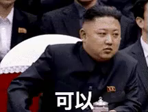 可以拍手我可以接受點頭北韓金正恩gif Okay Approved Accepted Discover Share Gifs