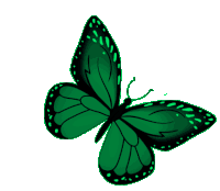 Butterfly Green GIF - Butterfly Green Monarch GIFs