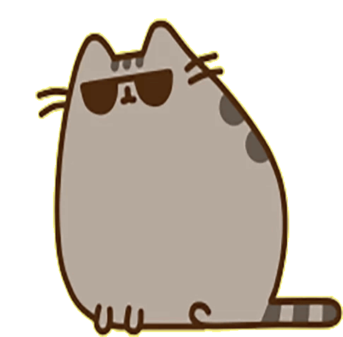 sunglasses pusheen