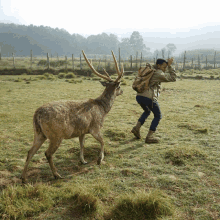 Deer Hunting GIFs | Tenor