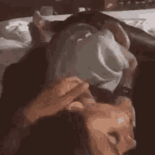 Showing porn images for milena velba milk porn Gif of teen lesbian facesitting