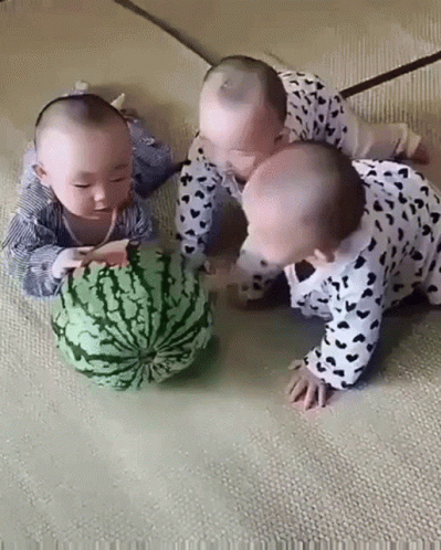 Babies Fight GIF