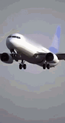 airplane gif
