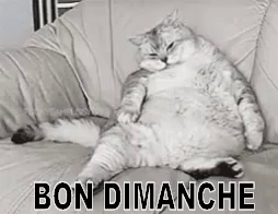 Bon Dimanche Gif Bondimanche Discover Share Gifs