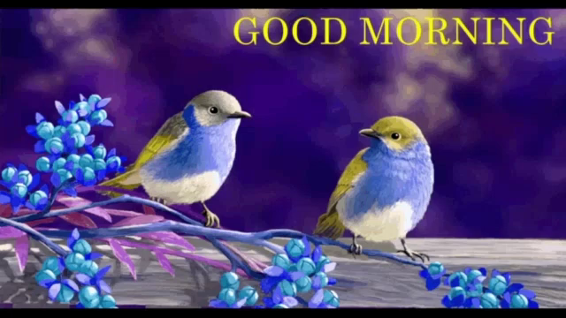 Good Morning Friends Gif Goodmorning Friends Birds Discover