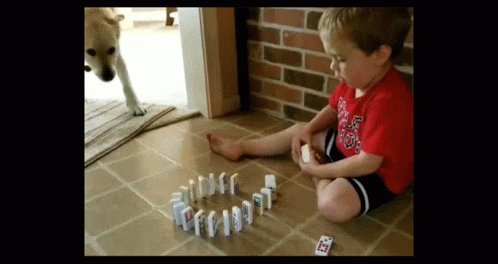 animated gif of a child setting up dominos only to have a dog know them over when walking past