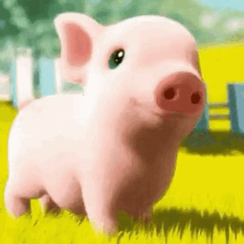 Mini Pig Smile GIF