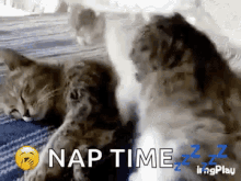 Nap Time Gifs Tenor