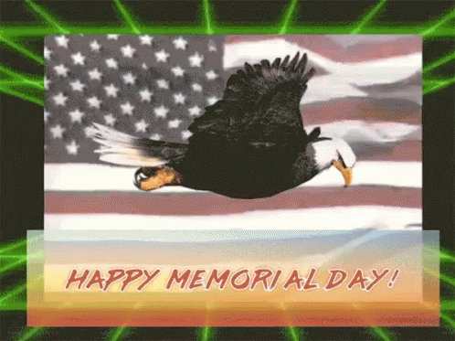 Happy Memorial Day Eagle GIF