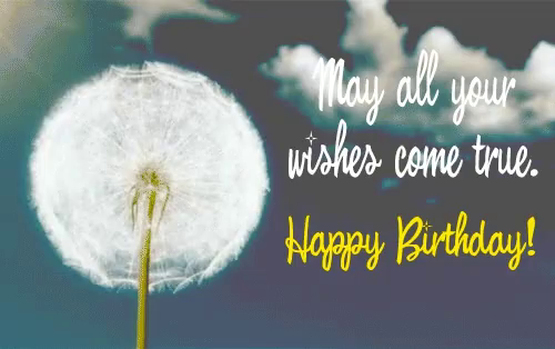 Happy Birthday May All Your Wishes Come True Gif Happy Birthday May All Your Wishes Come True Discover Share Gifs