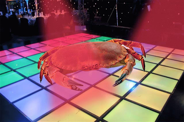 https://media.tenor.com/images/229d313ae0bf767803df798953c3edf9/tenor.png