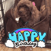 Download Happy Birthday Gif Funny Animal PNG