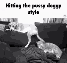 Sexy Cute GIF - Sexy Cute Sebastian GIFs