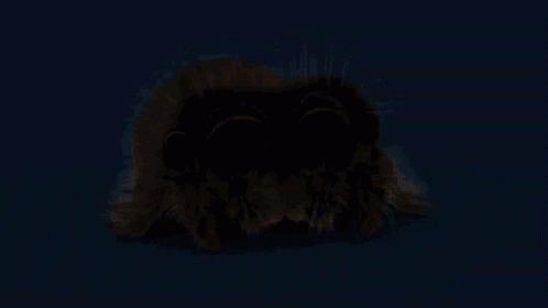 untitled.gif