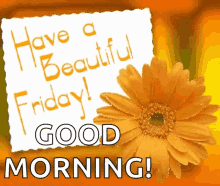 Beautiful Happy Friday Good Morning Gif - lawiieditions