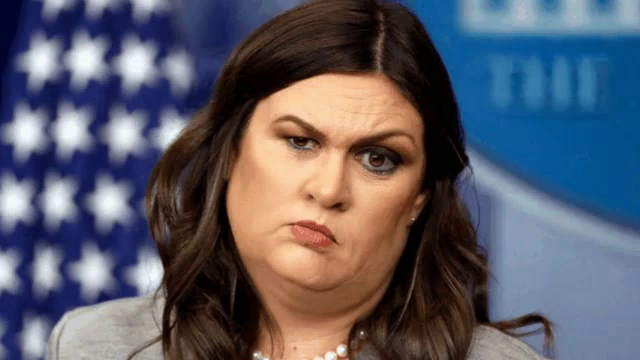 Sarah Sanders Gifs Tenor