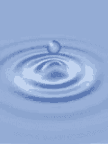 Water Droplet GIF - WaterDroplet Flower - Discover & Share GIFs