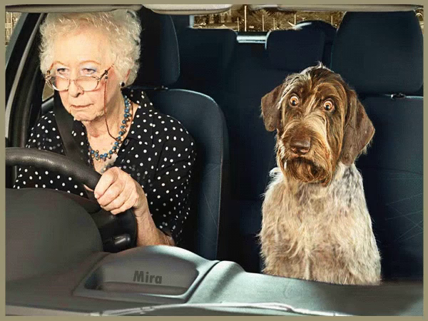 Lol Old Lady GIF - Lol Old Lady Driving - Discover & Share GIFs