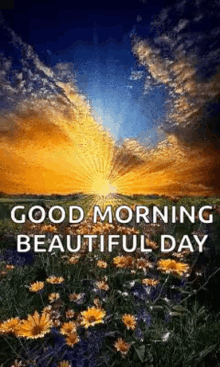 Good Morning Beautiful Day GIF - GoodMorning BeautifulDay Sunrise GIFs