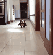 Funny Animals Dogs GIF - FunnyAnimals Dogs Cute GIFs
