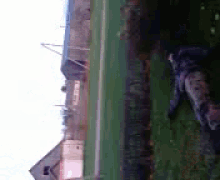 Shot Dead GIFs | Tenor