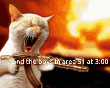 Featured image of post Lazer Eyes Cat Gif Via by ben on thu dec 16 2010