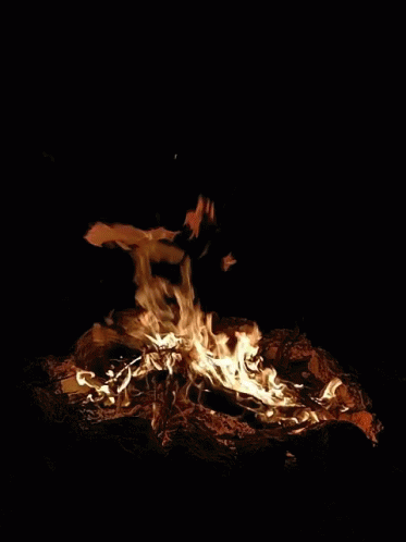 untitled.gif