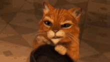 Puss In Boots GIFs | Tenor