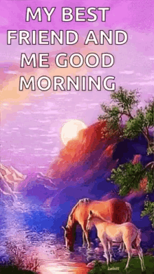 My Best Friend And Me Good Morning Horses GIF - MyBestFriendAndMeGoodMorning Horses GIFs