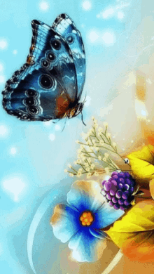 Animated Butterfly Flying GIFs  Tenor