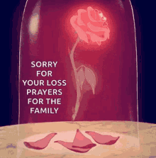 Sorry For Your Loss Gifs Tenor