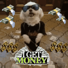 Money Dog GIFs | Tenor