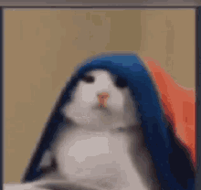 Cat Reaction Dancing Gif Catreaction Dancing Grooving Discover Share Gifs