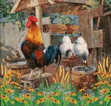 chicken black baby crib gif chicken black baby crib gif