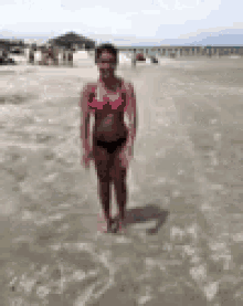 Backflip GIFs | Tenor